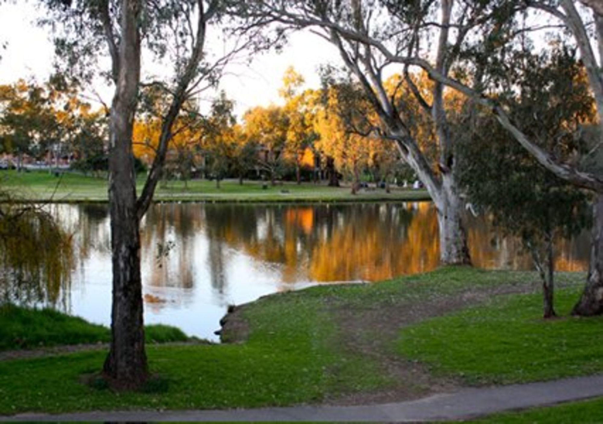 Comfort Inn Benalla Amenities photo